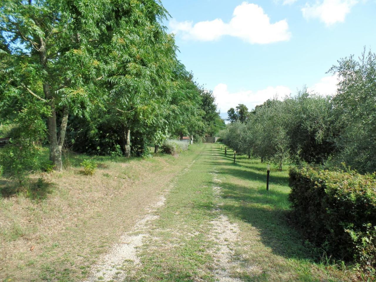 Poggiolindo B&B Capodimonte Bagian luar foto