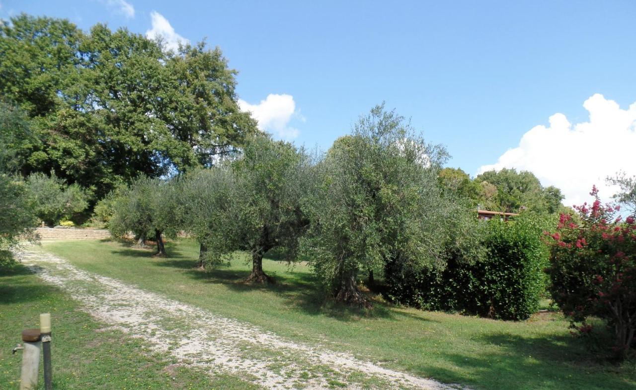 Poggiolindo B&B Capodimonte Bagian luar foto