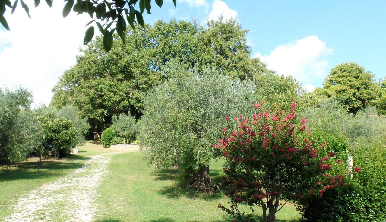 Poggiolindo B&B Capodimonte Bagian luar foto